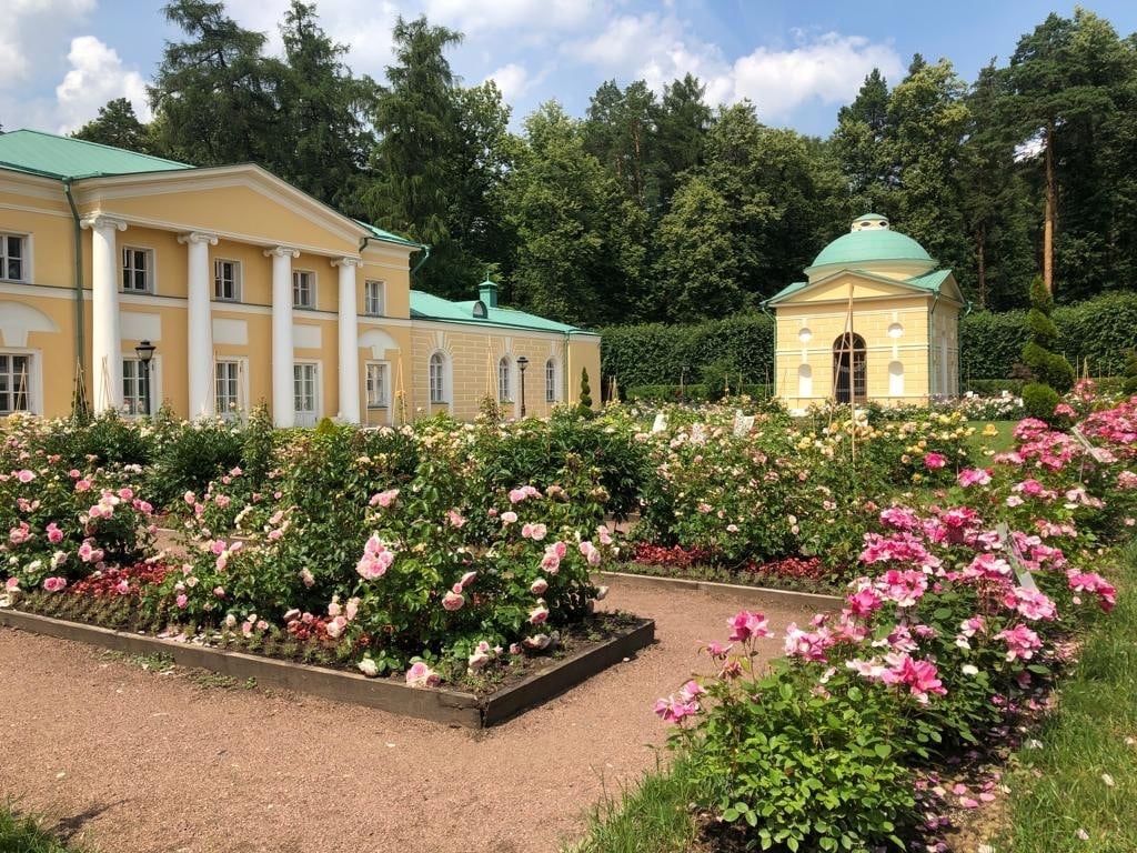 «Муки творчества»